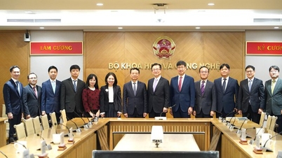 Samsung affirms long-term commitment in Vietnam: Expanding training, increasing supply chain links