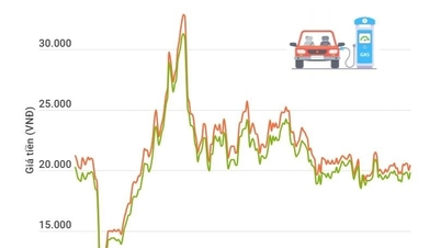 RON 95-III गैसोलीन की कीमत 20,460 VND प्रति लीटर है