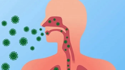 Reforçar a implementação de atividades para prevenir e controlar a gripe sazonal, a doença do vírus sincicial respiratório e a doença mão-pé-boca.