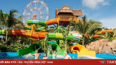 Can Gio bakal mengadakan "keajaiban hiburan" yang akan mengatasi Hong Kong, Singapura dan Tokyo dari segi bilangan permainan.