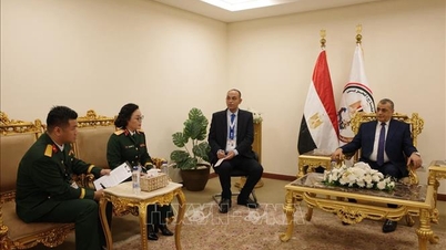 Vietnam und Ägypten vereinbaren die Förderung der Zusammenarbeit in der Verteidigungsindustrie