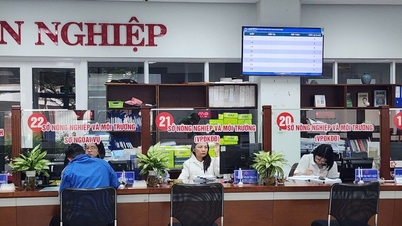 Đà Nẵng thống nhất chủ trương giao Bưu điện tiếp nhận hồ sơ thủ tục hành chính đất đai