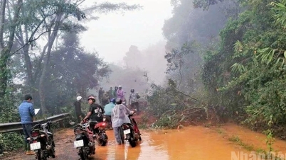 Lam Dong: Apropierea zonei în care peste 20 de mașini sunt blocate în punctul...