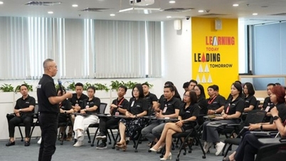 ROX Group'ta esnekliği yönetim gücüne dönüştürmek