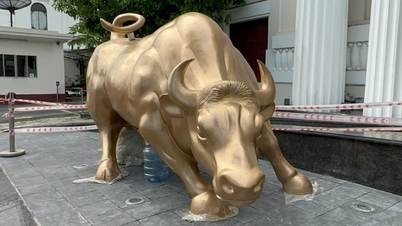 Wird die Börse von Ho-Chi-Minh-Stadt ihr Logo mit dem „angreifenden Stier“ nach 25 Jahren ändern?