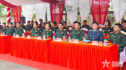 Milli Savunma Akademisi subayları, öğretim görevlileri ve öğrencilerinden oluşan bir heyet Ninh Binh'de uygulamalı araştırma yaptı.