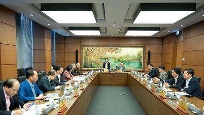 Das spezialisierte Gerichtsrecht am Internationalen Finanzzentrum zeugt von ambitioniertem juristischem Denken.