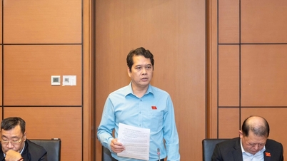 জাতীয় জ্বালানি উন্নয়ন প্রক্রিয়া এবং নীতিমালার নিখুঁতকরণ