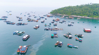 مهرجان الحيتان الصاخب في لاي سون، منطقة كين هاي الخاصة في عام 2025