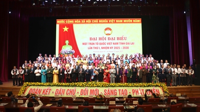 The 1st Congress of the Vietnam Fatherland Front of Gia Lai province, term 2025 - 2030, was a great success.