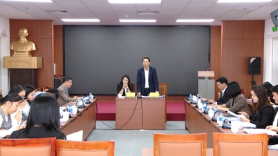 Meninjau banyak rancangan resolusi tentang kebijakan jaminan sosial dan dukungan