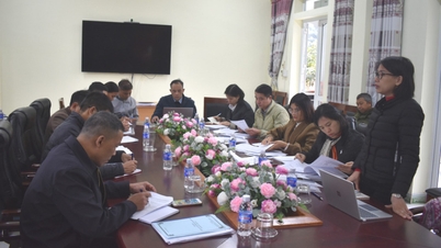 민탐사(Minh Tam) 빈민가구 검토 작업 점검 - 까오방 전자신문