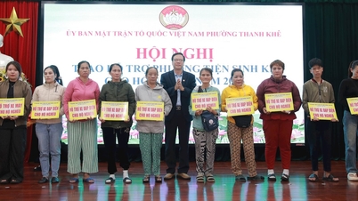 탄케구, 빈곤 가구 37가구에 생계 지원