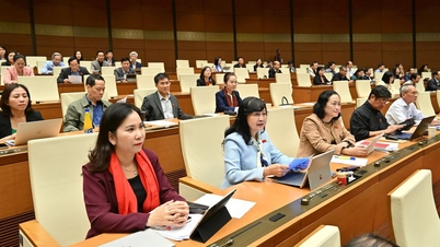 Делегати запропонували багато рішень для забезпечення сталого соціально-економічного розвитку в новий період.