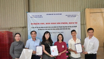 تسليم منتجات مشروع فاكهة التنين OCOP إلى أول تعاونية في لام دونج