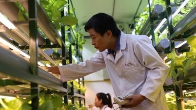 סטנדרטיזציה של סטנדרטים לאומיים, קירוב וייטנאם ליעד אפס פליטות נטו