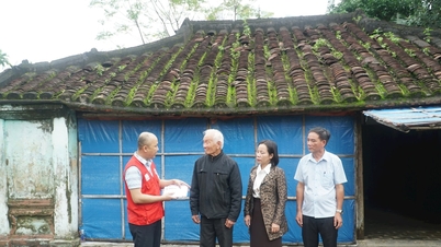 Da Nang conclui a distribuição de pacotes de ajuda emergencial da Cruz Vermelha Central.