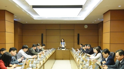 Szigorúan szabályozzák a szakosított bíróságok bíráinak kinevezésére vonatkozó előírásokat és feltételeket.