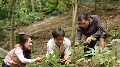 Can Da Nang become the medicinal center of the country and the region?