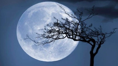 Vietnam da la bienvenida a la Superluna Fría: un llamativo fenómeno astronómico que cierra el 2025