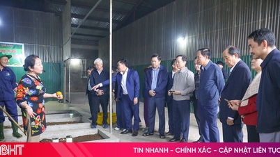 La delegación central de trabajo inspeccionó la cadena modelo circular de Que Lam en Ha Tinh