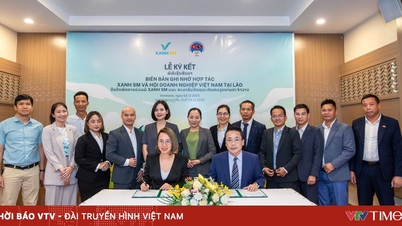 Green SM firma una cooperación estratégica con la Asociación Empresarial de Vietnam en Laos, ampliando las soluciones de movilidad ecológica en Laos.