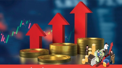 Освоение государственных инвестиций в Дананге за 11 месяцев достигло 76,7% от плана.