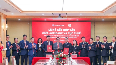 एग्रीबैंक और कर विभाग ने व्यापारिक घरानों को एकमुश्त कर से घोषित कर में परिवर्तित करने में सहायता देने के लिए एक सहयोग समझौते पर हस्ताक्षर किए।