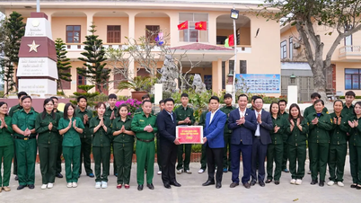 La Zona Especial de Bach Long Vi es autosuficiente en energía, incluso tiene excedente de electricidad.