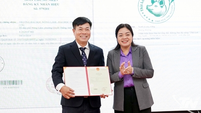 ٹریڈ مارک کا اعلان کرنا 'گرین ٹی سور کا گوشت - تھائی نگوین کی اصل'