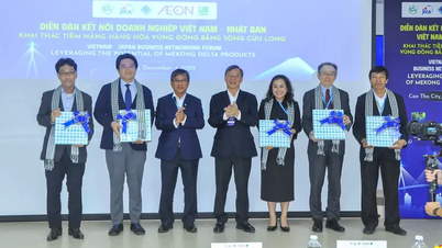 Wykorzystanie potencjału towarów w regionie delty Mekongu