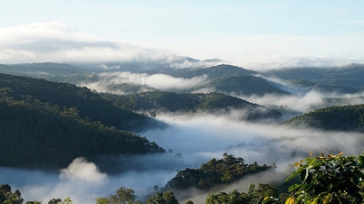 Braised mackerel with bamboo shoots in Kon Tum: The meeting between the great mountains and the breath of the ocean