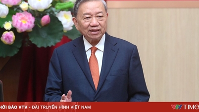 Generalsekreterare: Definiera tydligt polisens roll i att bidra till genomförandet av tre strategiska mål.