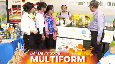 El delta del Mekong aplica ciencia y tecnología para preservar el patrimonio de la civilización del arroz húmedo.
