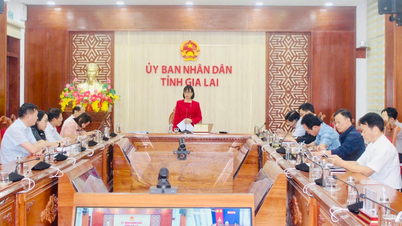 Gia Lai: رات کے وقت کی معیشت کی ترقی ہر علاقے کی ثقافتی، اقتصادی اور سماجی خصوصیات سے وابستہ ہے۔