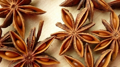 ۵ گیاه دارویی برای گرم کردن بدن در هوای سرد