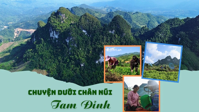Story at the foot of Tam Dinh mountain