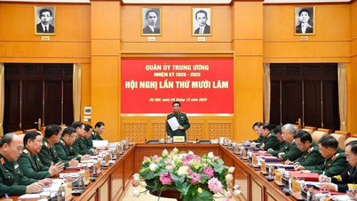 El estudio propuso la creación de una serie de nuevas fuerzas, garantizando que las armas y el equipo satisfagan los requisitos de la modernización del Ejército.