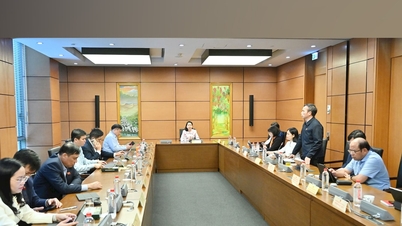 Invitación a los jueces internacionales para elevar el Tribunal Especial