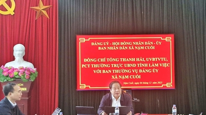 Standing Vice Chairman of the Provincial People's Committee Tong Thanh Hai worked with Nam Cuoi commune