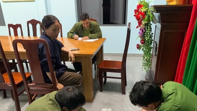 Cat Tien 3에서 천산갑 한 마리가 구조되어 다시 야생으로 돌아갔습니다.