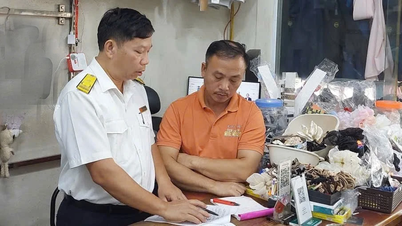 Lao Cai, begrotingsinkomsten gelijk aan 124% van de centrale toegewezen raming