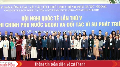 Cooperación internacional entre Vietnam y las ONG 2020-2024