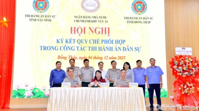 Assinatura do Regulamento sobre a coordenação nos trabalhos de execução civil