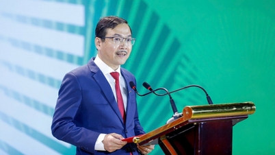 Jornal Agricultura e Meio Ambiente: Um encontro na interseção do passado e do futuro