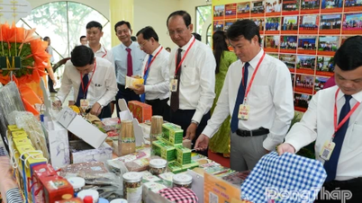 Exposición de logros e imágenes destacadas de las actividades del Frente de la Patria en todos los niveles en la provincia de Dong Thap