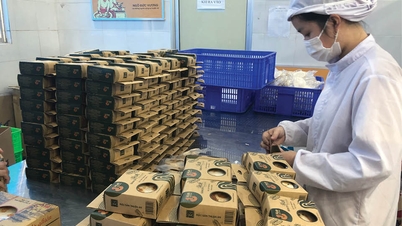 Att säkerställa immateriella rättigheter i den digitala tidsåldern