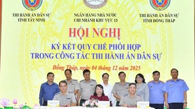 O Banco Estatal da Região 13 assinou um Regulamento de Coordenação para a execução de sentenças cíveis com Dong Thap e Tay Ninh.