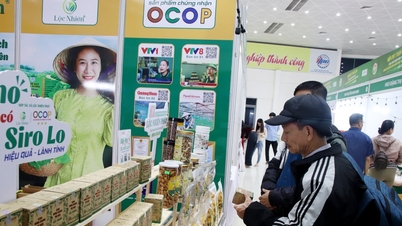 200 كشك لعرض المنتجات الصناعية الريفية النموذجية