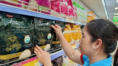 ផលិតផលស្លាកយីហោឯកជន Saigon Co.op គឺជាផលិតផលវៀតណាមដែលអ្នកប្រើប្រាស់ចូលចិត្តបំផុតក្នុងឆ្នាំ 2025។